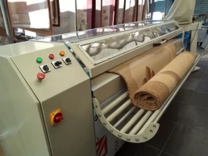 Basaksehir Dusting in Carpet Cleaning